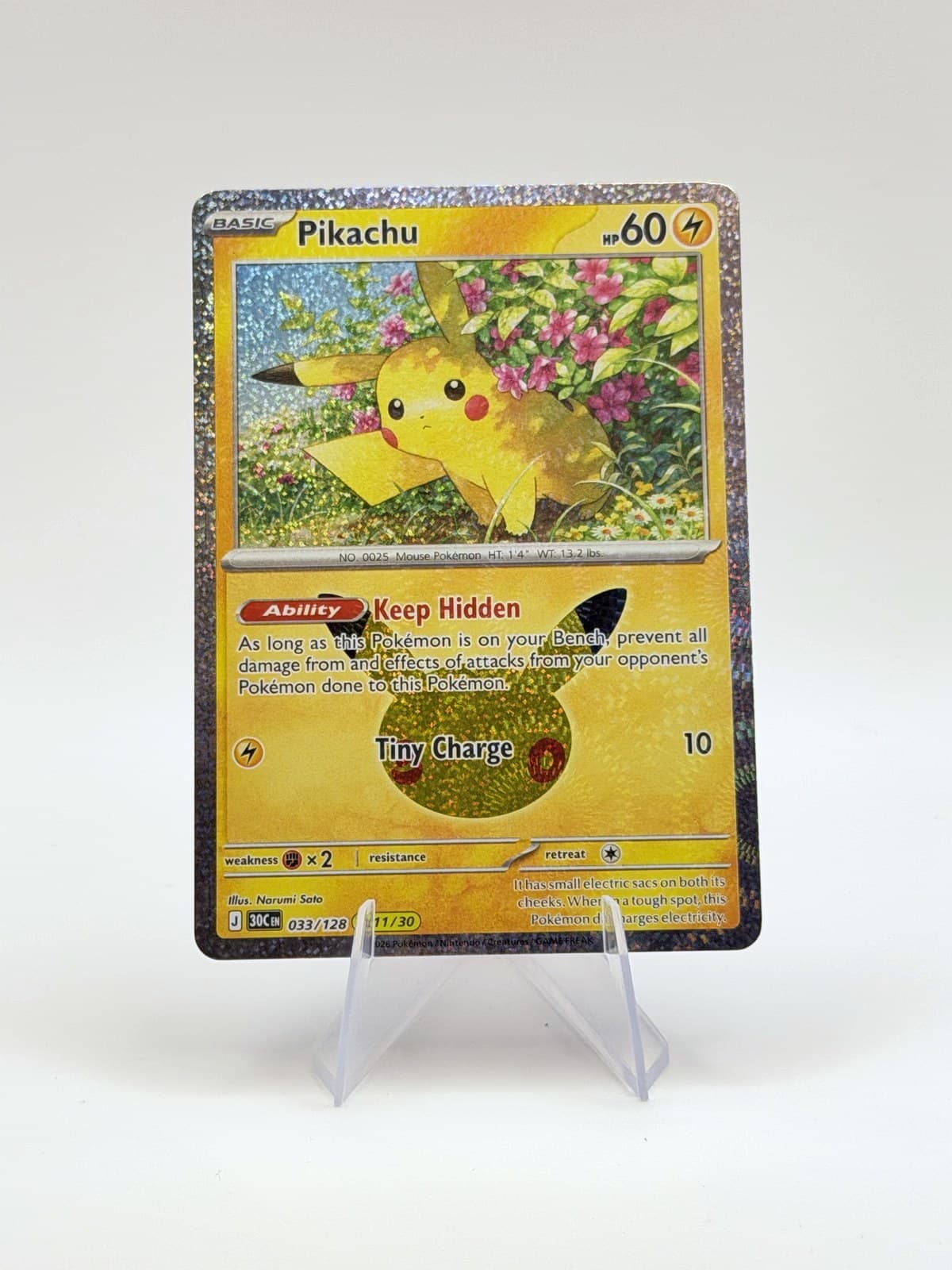 Pikachu — studio front