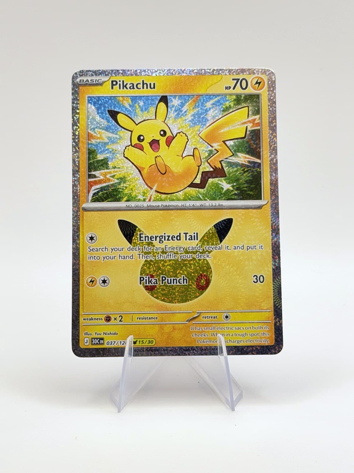 Pikachu — studio front