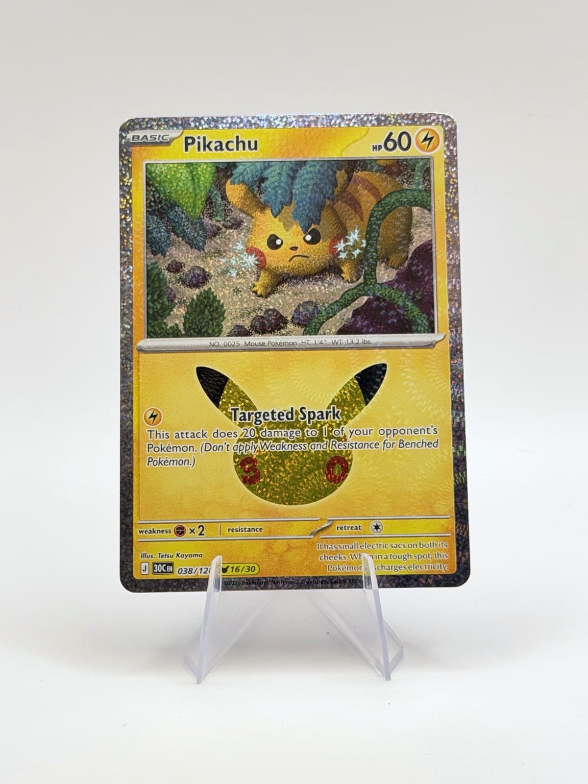 Pikachu — studio front