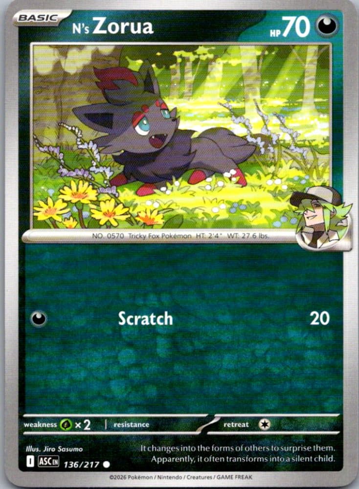 N's Zorua