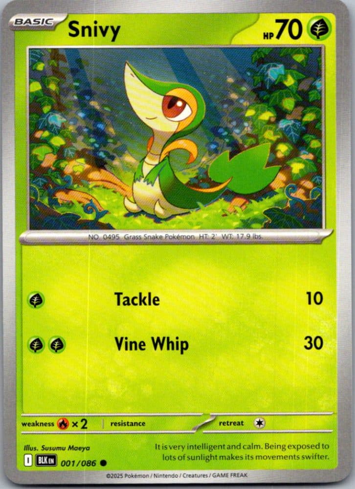 Snivy