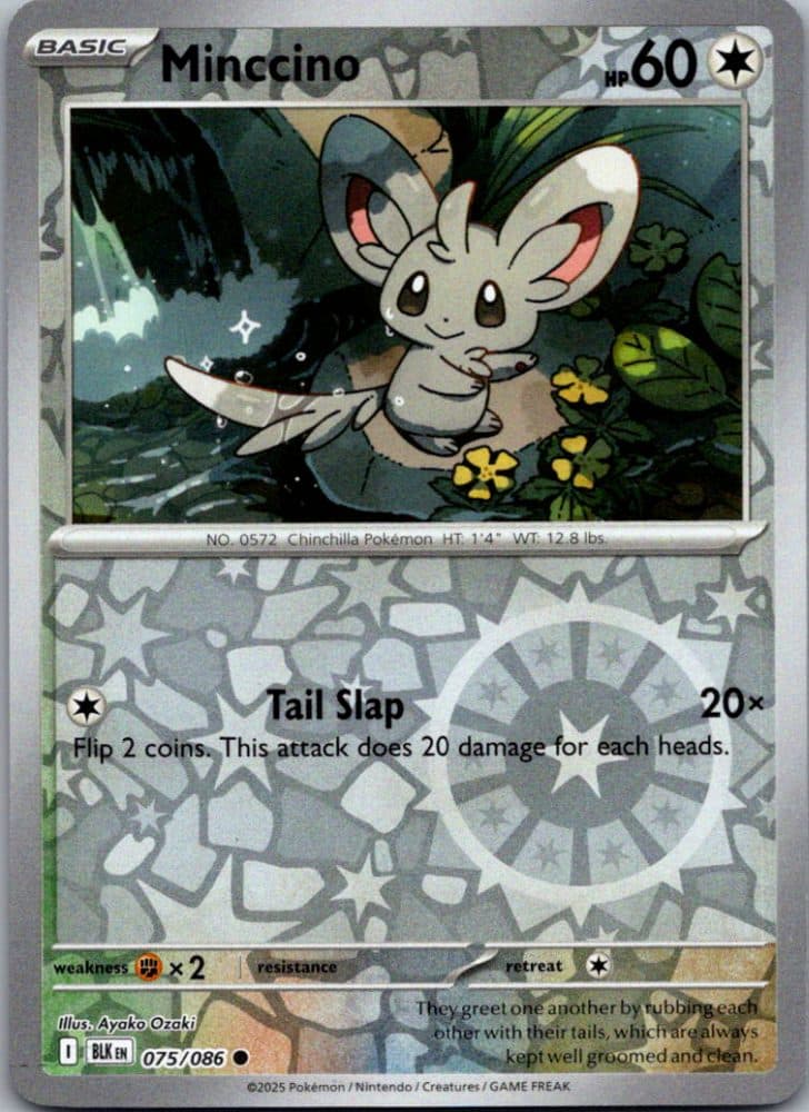 Minccino