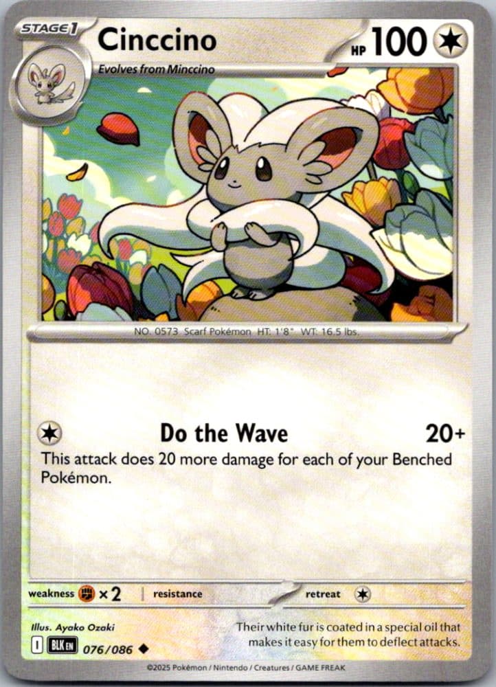 Cinccino