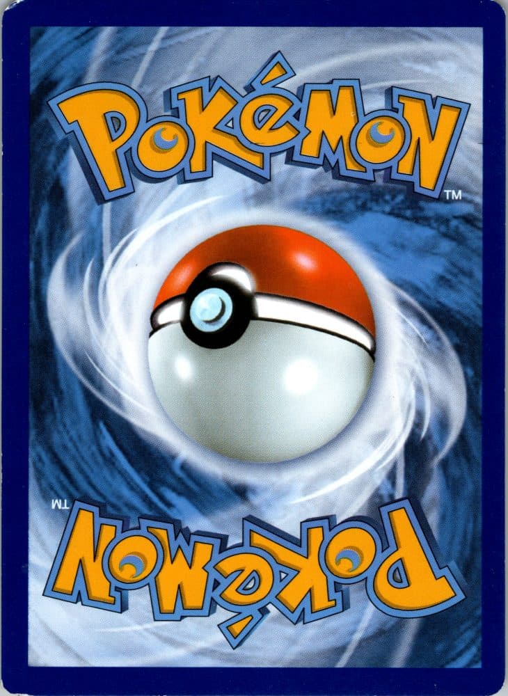 Snorunt — scan back