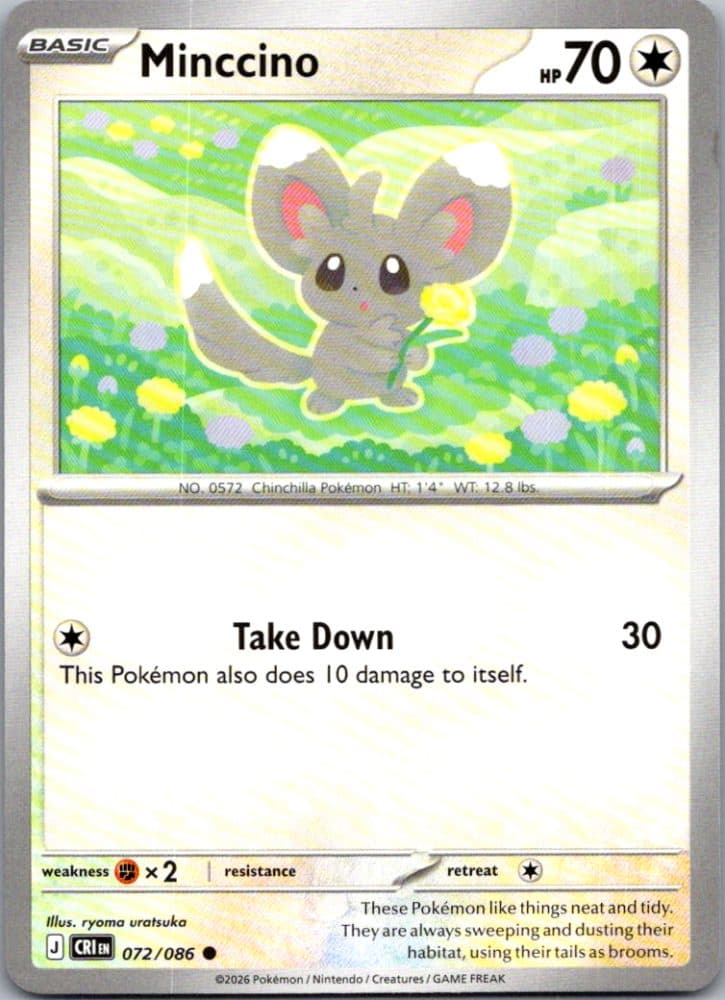 Minccino