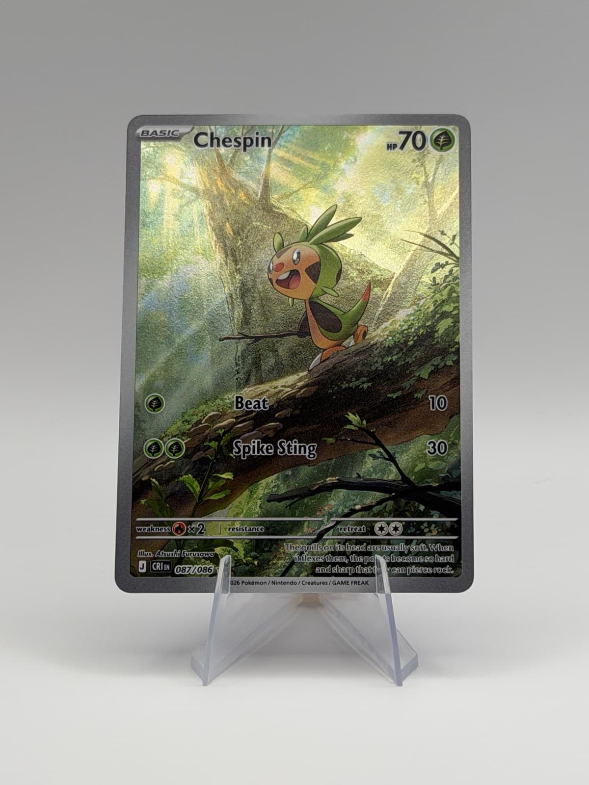 Chespin — studio front
