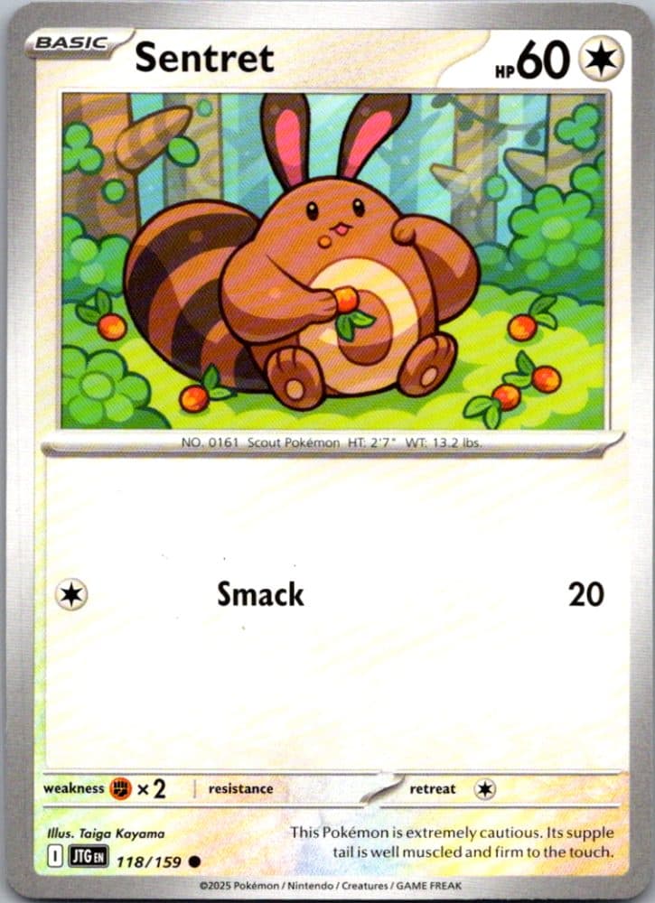 Sentret — scan front