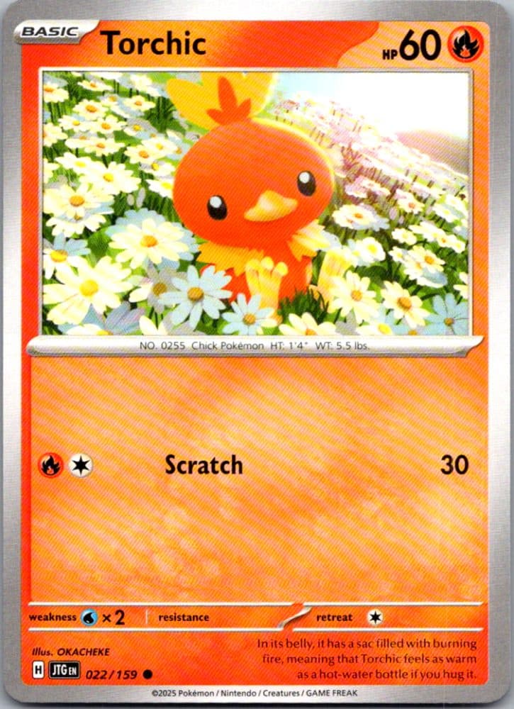 Torchic