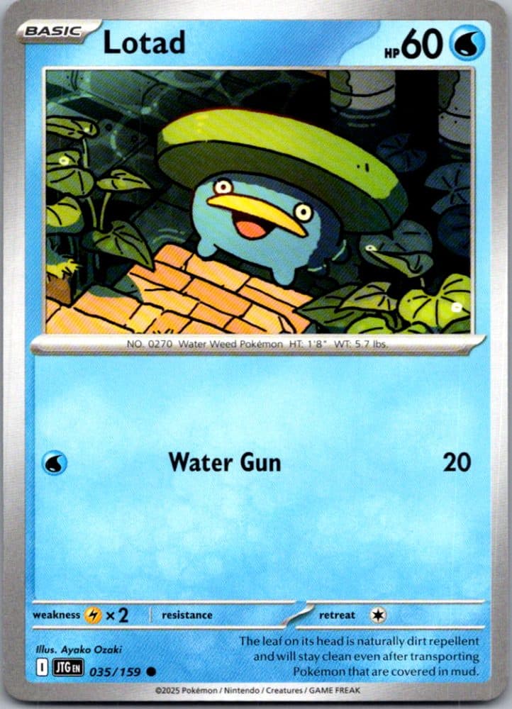 Lotad