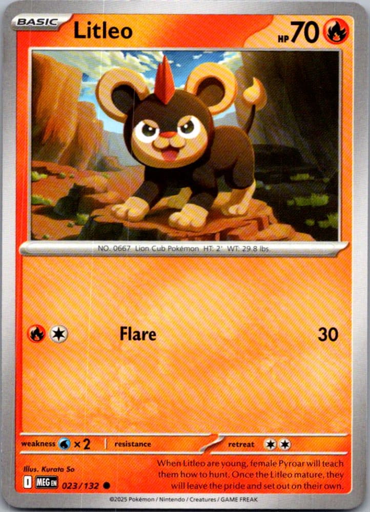 Litleo