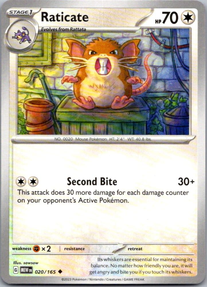 Raticate