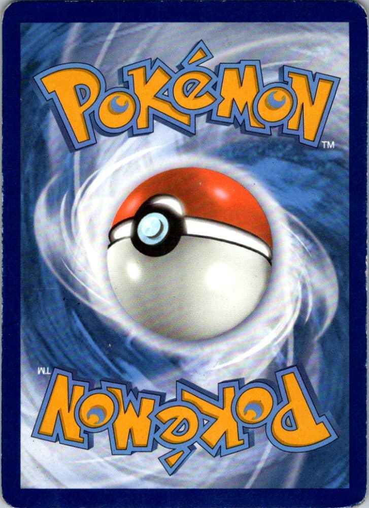 Falkner — scan back