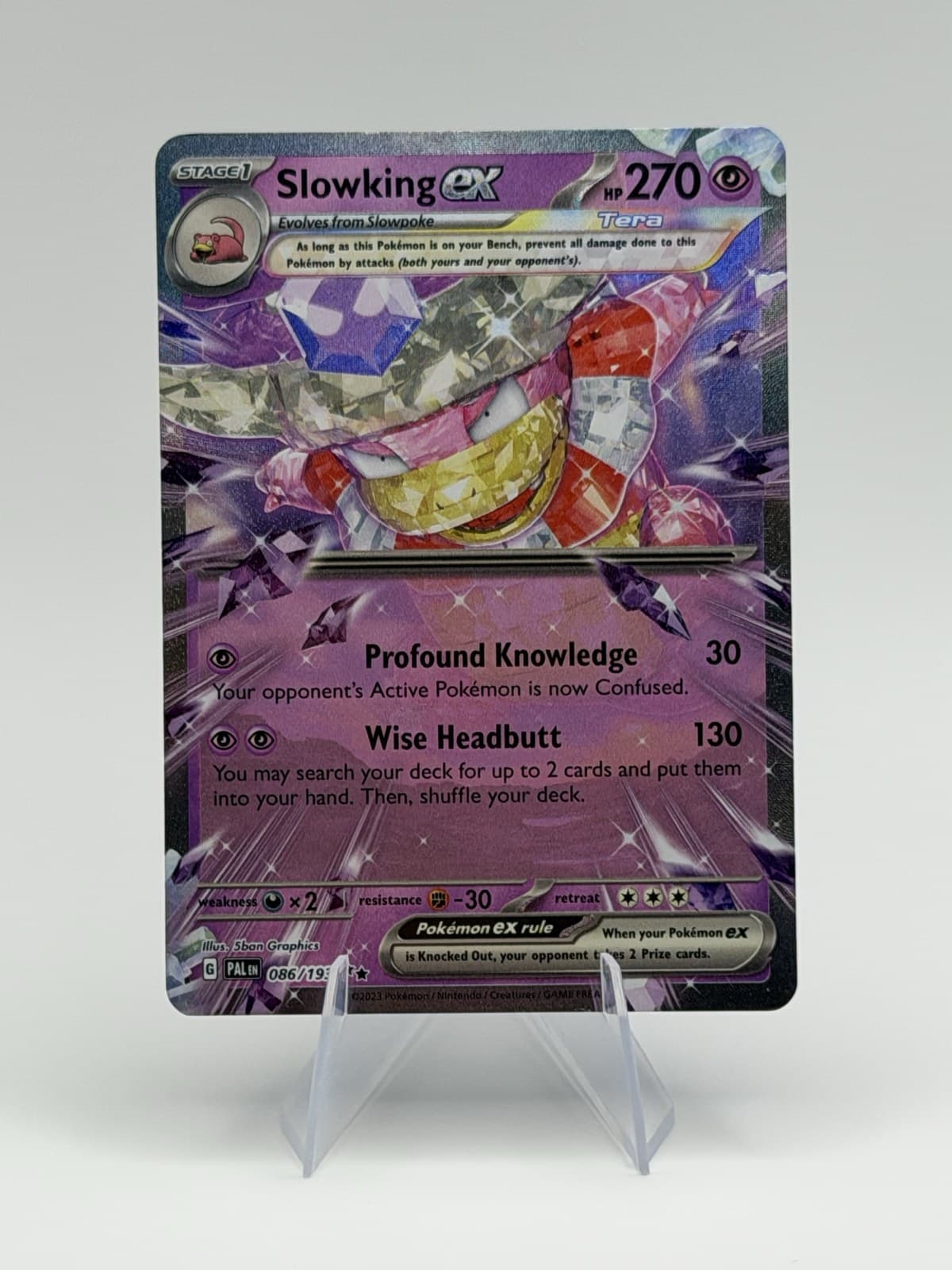 Slowking ex — studio front