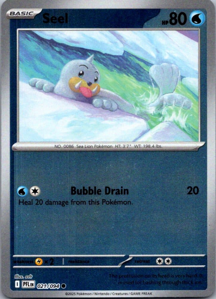 Seel