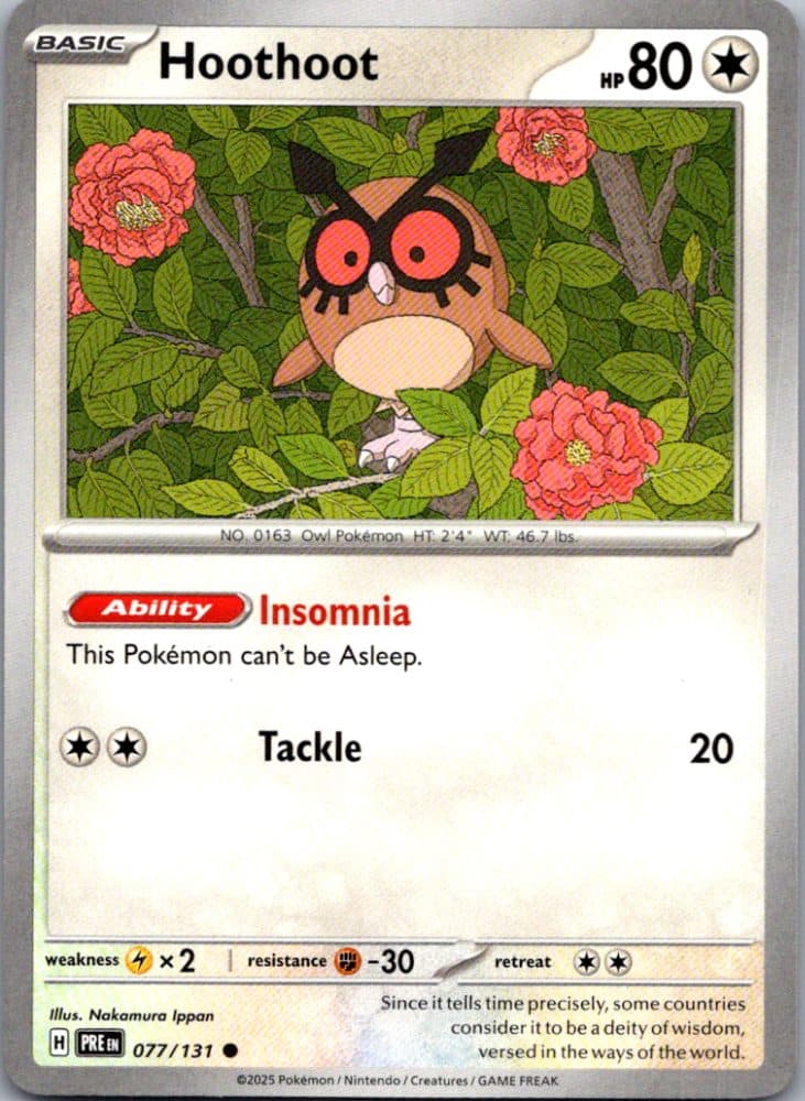Hoothoot — scan front