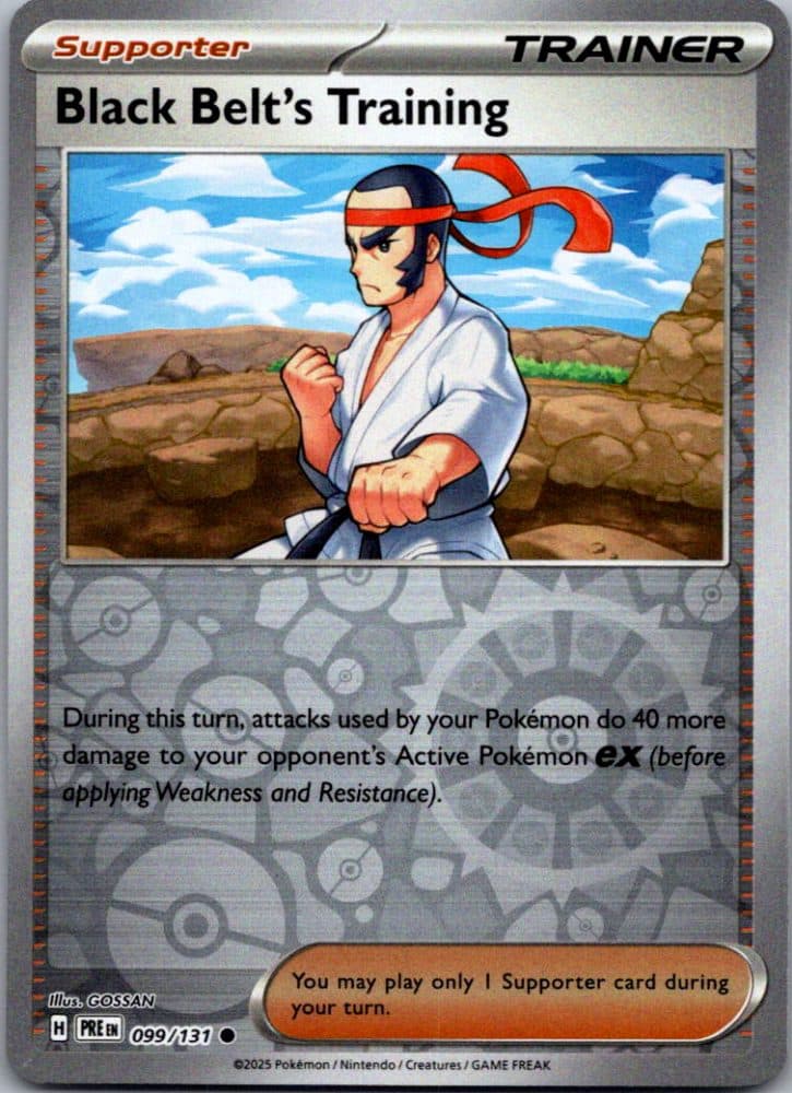 Black Belt's Training