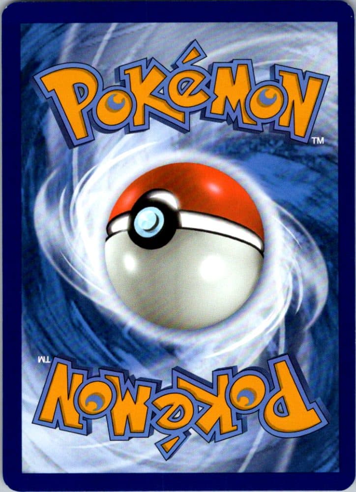 Binding Mochi — scan back