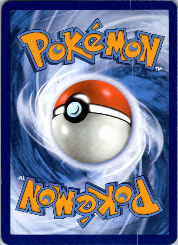 Bug Catching Set — scan back