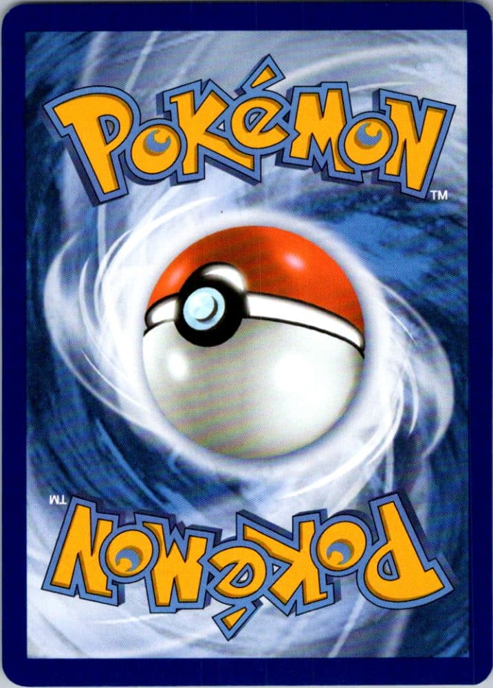 Zorua — scan back