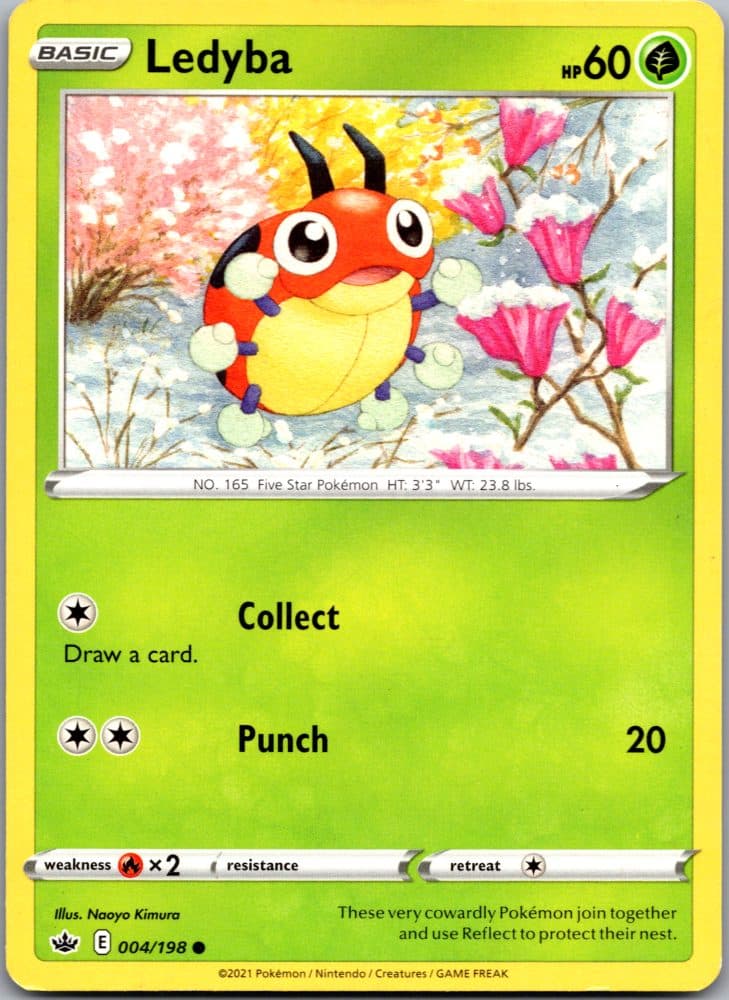 Ledyba