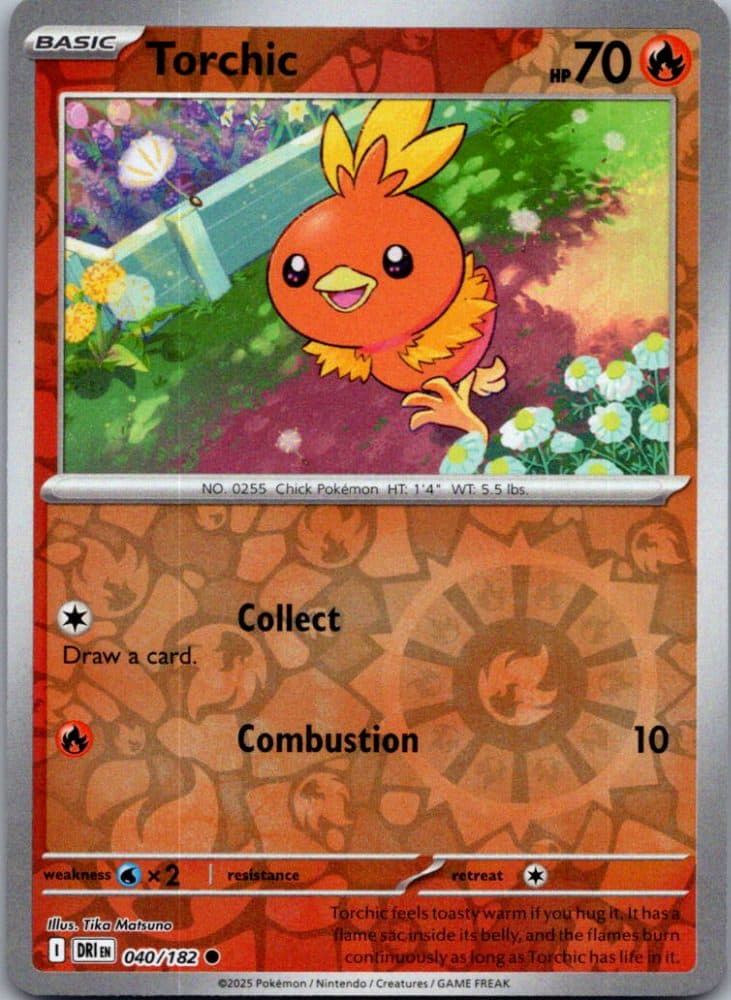 Torchic