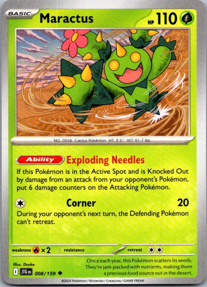 Maractus