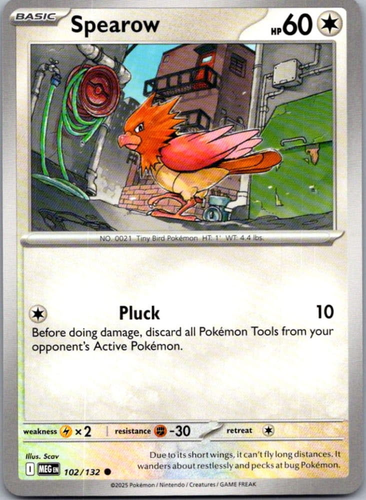 Spearow