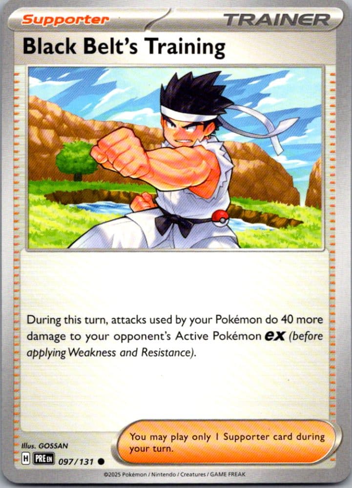 Black Belt's Training